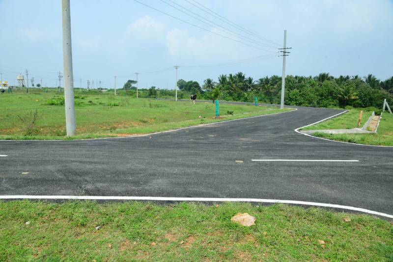 Ambiens Krishna By Ambiens Groups